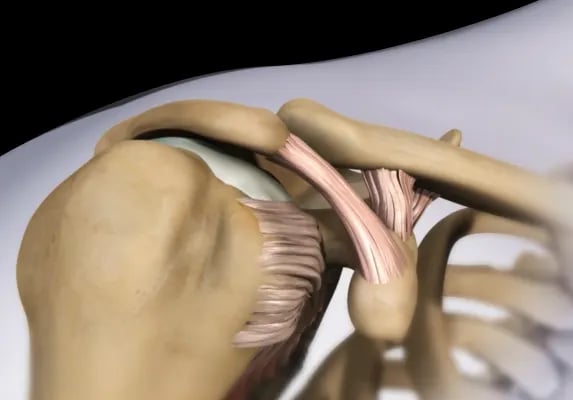 medical-grade Animation