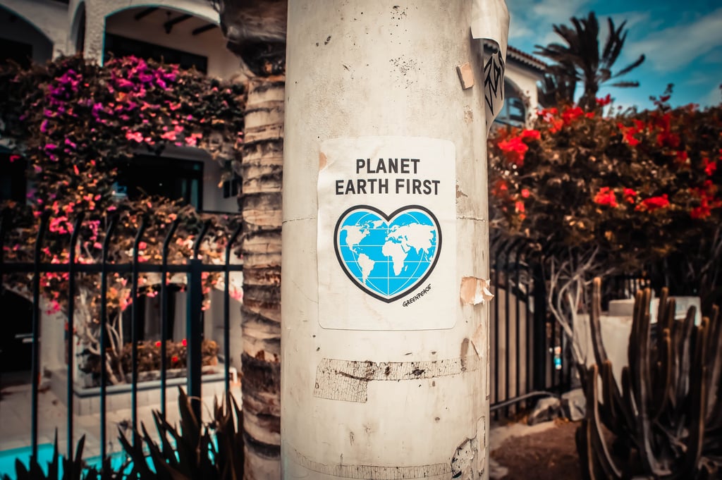 Photo by Photo Boards on Unsplash Planet Earth First signage sticked in gray post outdoors