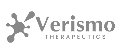 versimo logo v5