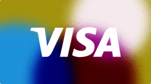 Visa Logo logo